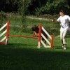 agility 2011-08